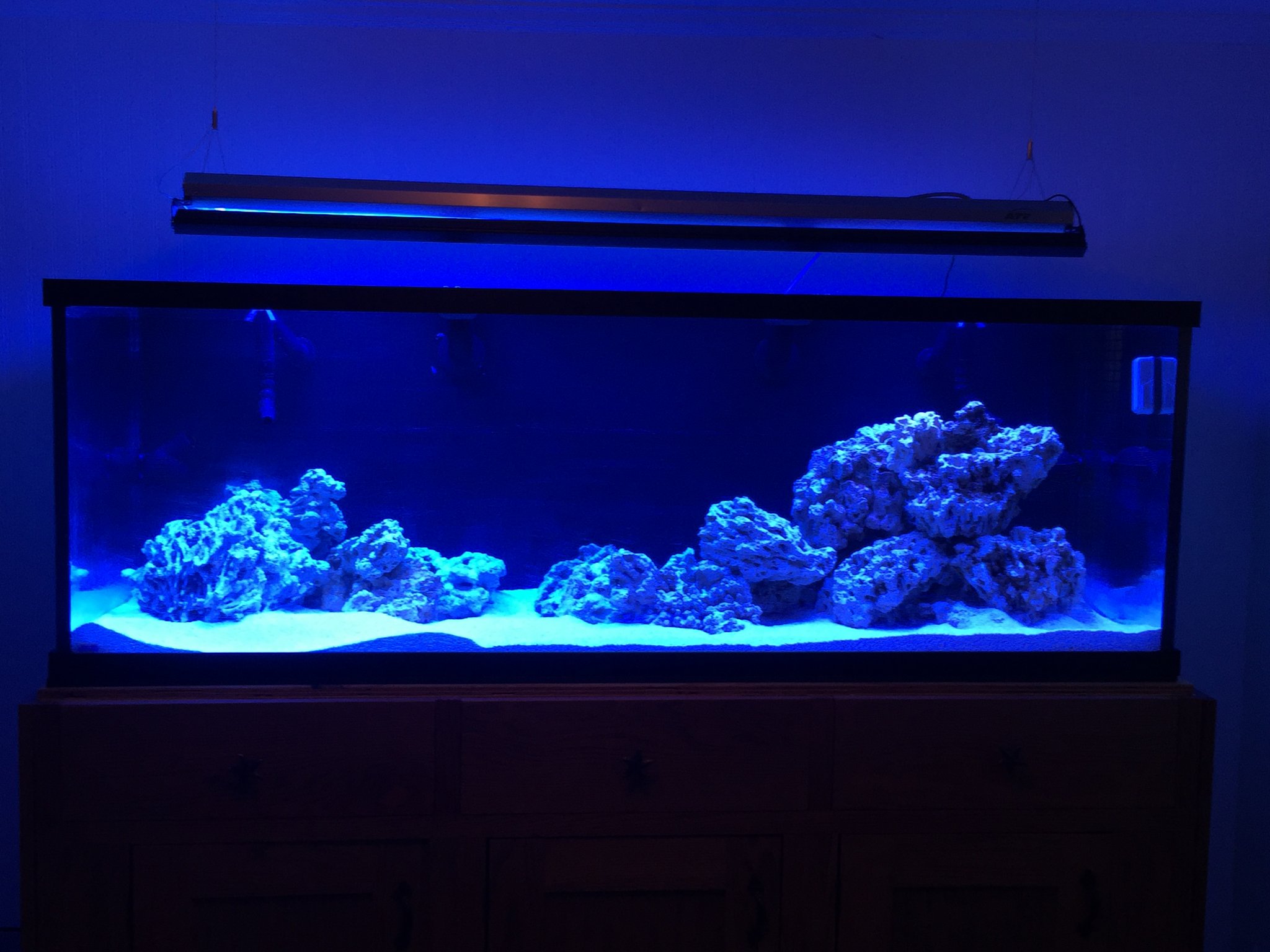 Adding Blue Leds To T5 Reef2reef Saltwater And Reef Aquarium Forum