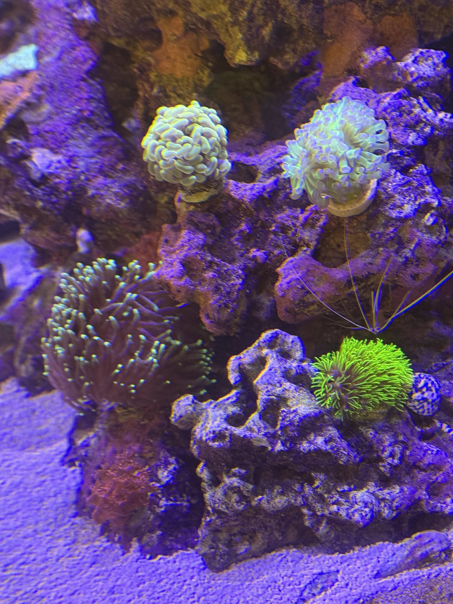 IMG_0671.jpeg