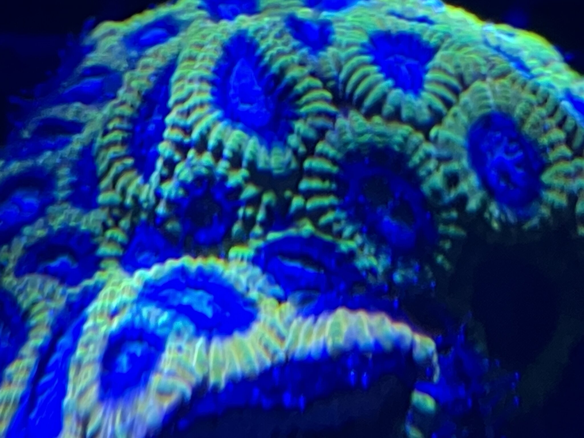 IMG_0874.jpeg