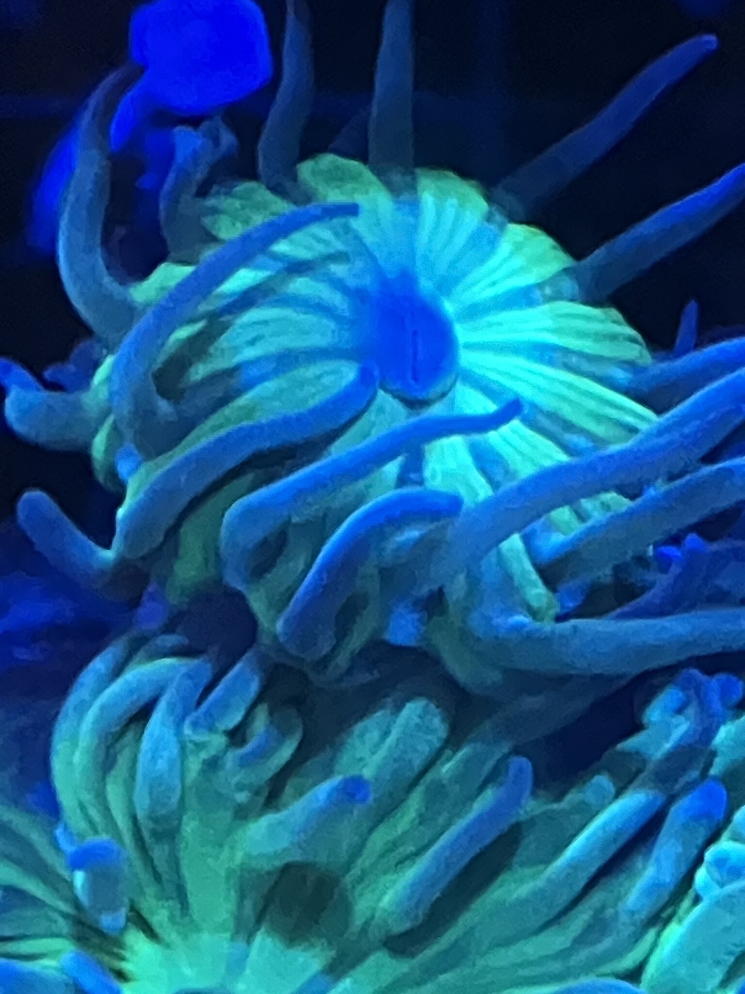 IMG_0923.jpeg