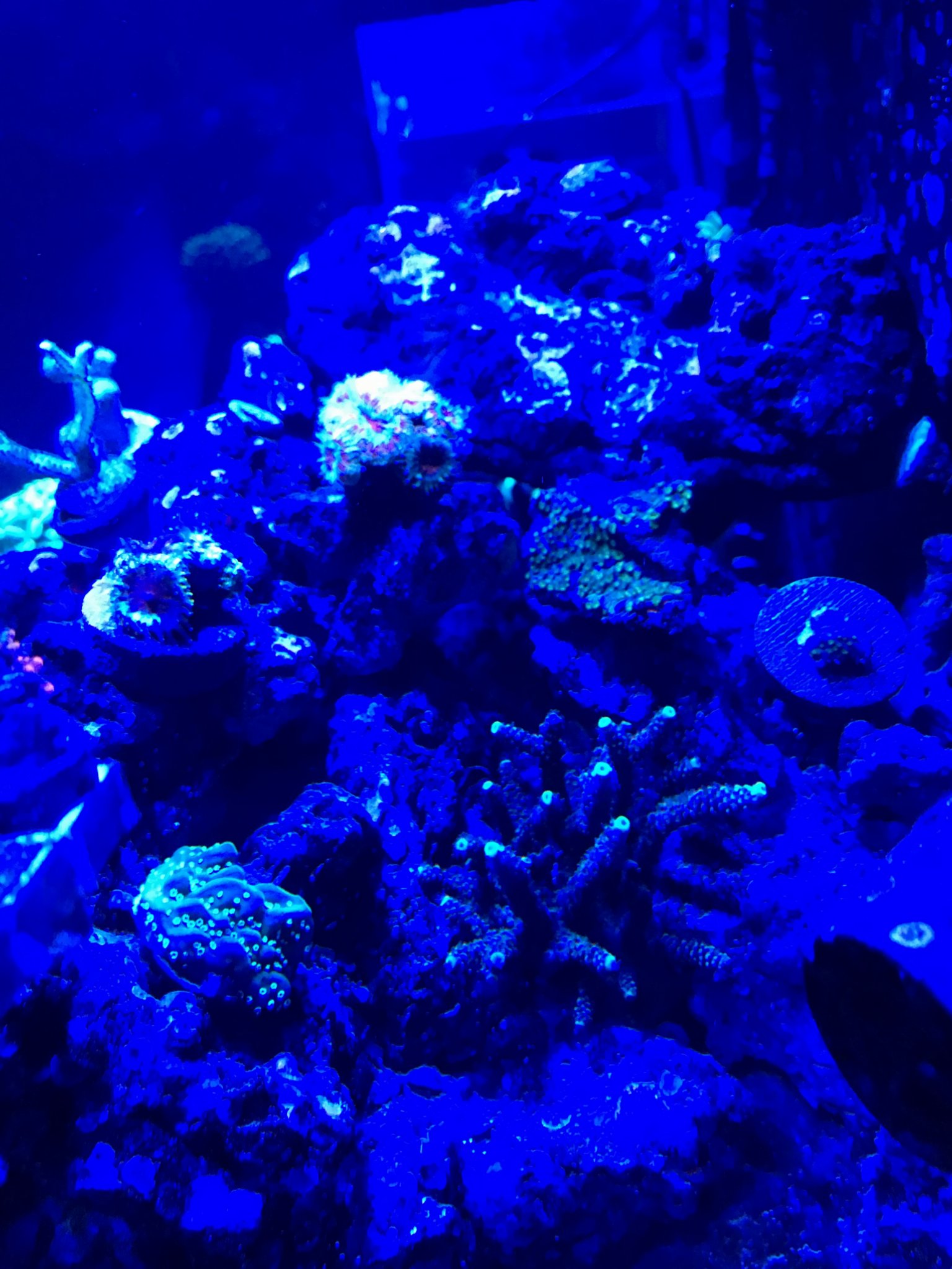 Night main display