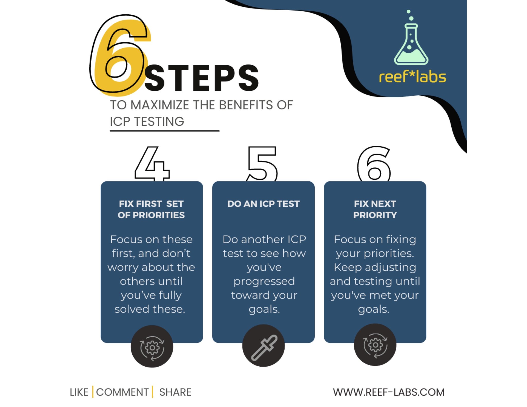 steps 4-6.jpeg