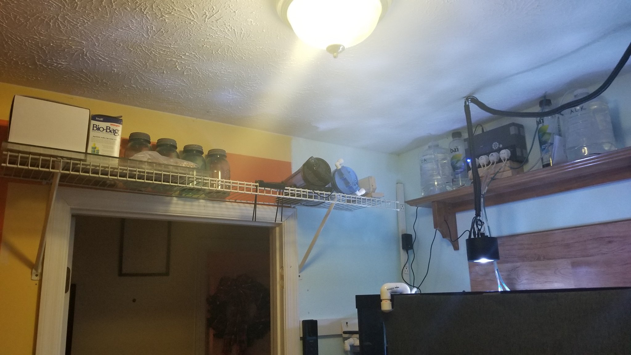 the new fish room results 5