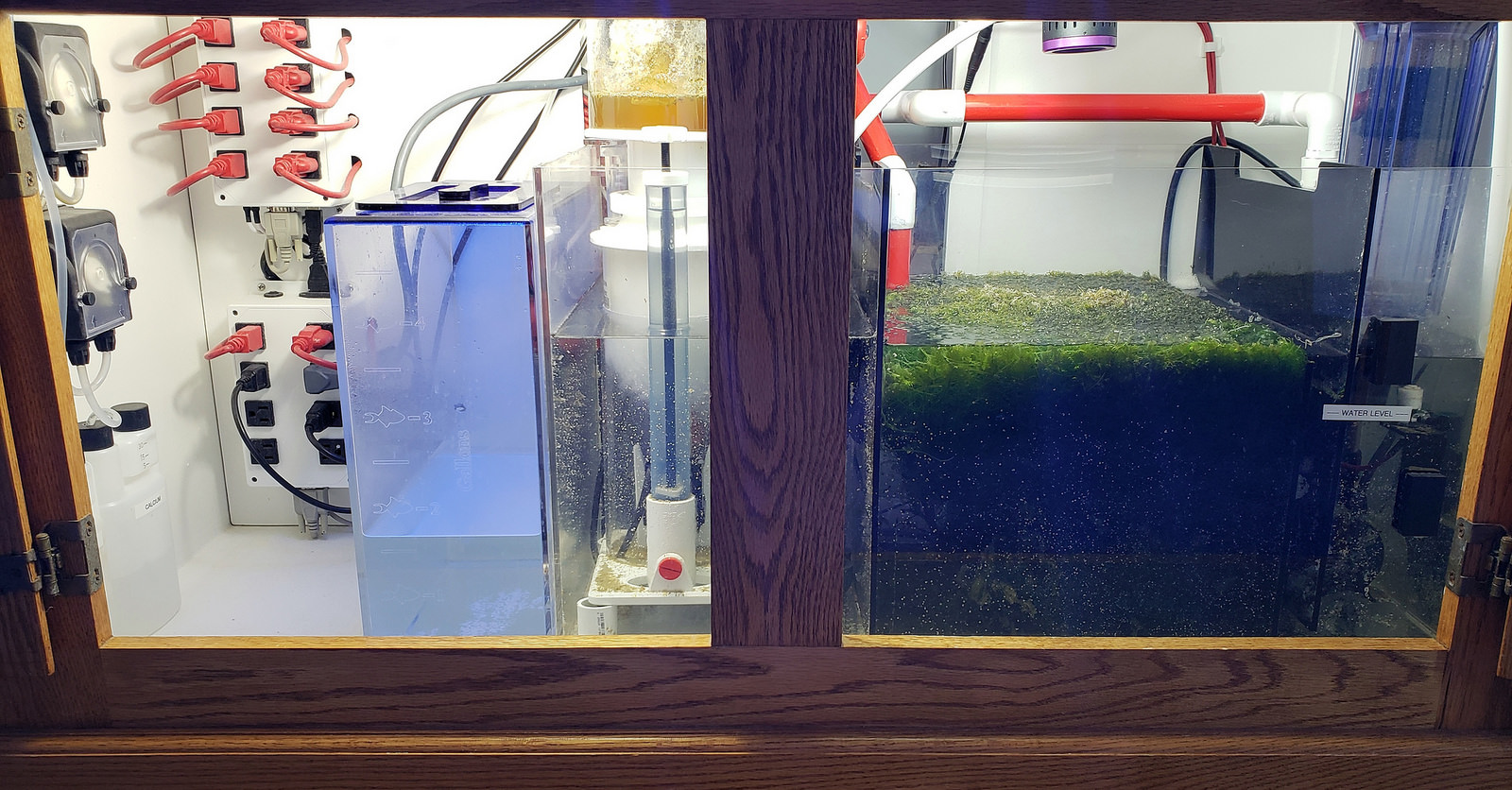 Are you using any supplements to grow Chaetomorpha? Do you have some ...