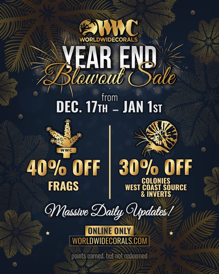 End%20of%20Year%20Blowout%202022%201080x1350.jpg