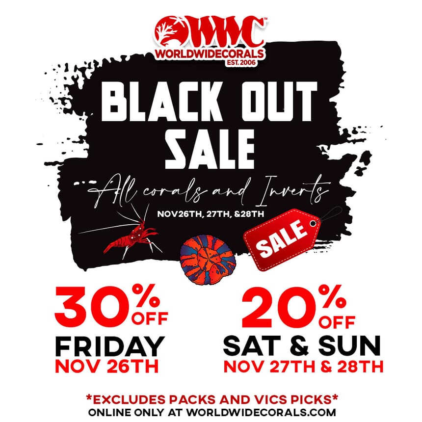 Black-Out-Flyer-Coral-Discounts.jpg