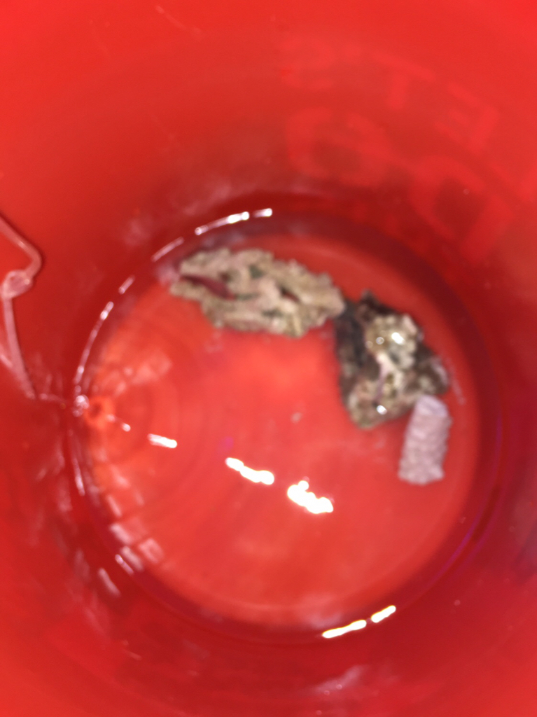 c3ca93d16ac6b8dd67b9317a57d79d05.jpg