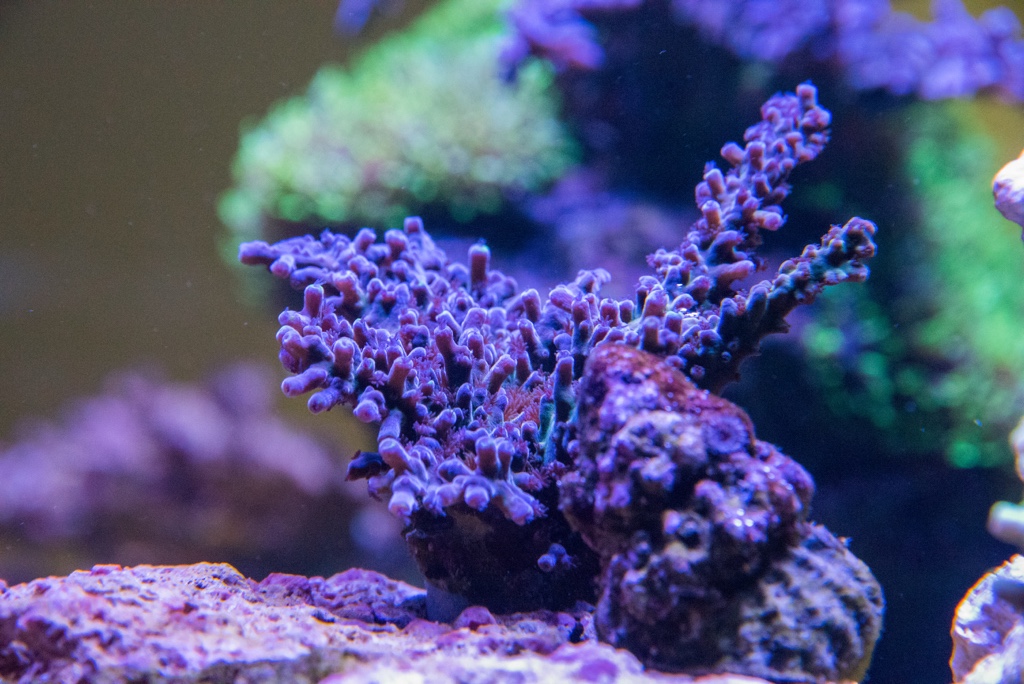 DSC_1602.jpg