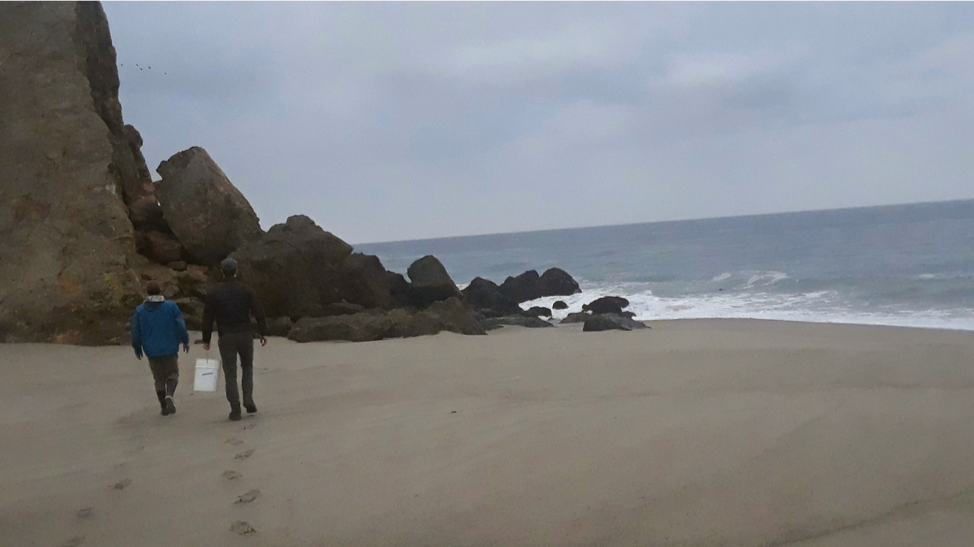 undergrad.research.ucsb.edu