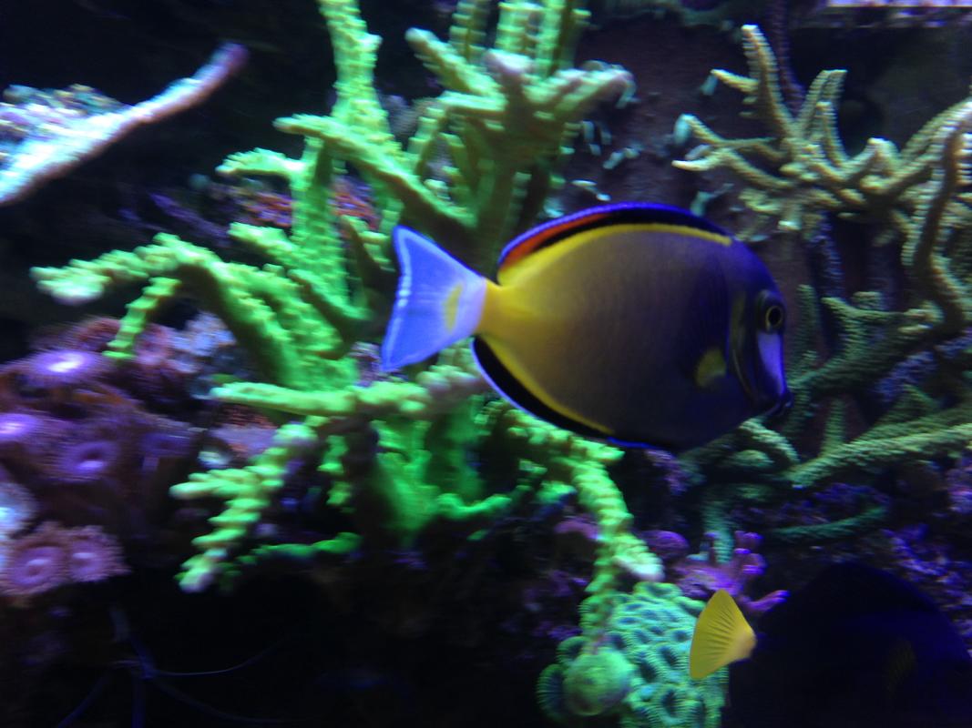 IMG-1958.jpg