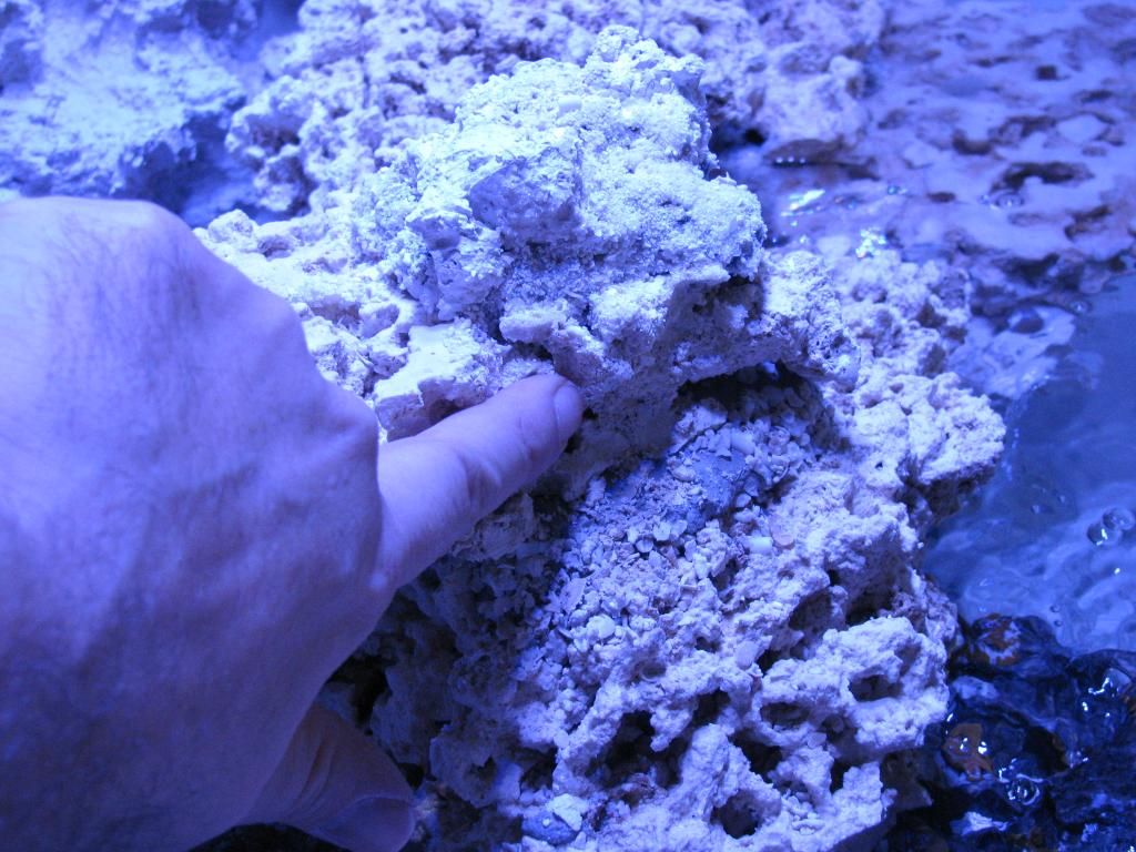 Alumilite casting resin reef safe  REEF2REEF Saltwater and Reef Aquarium  Forum
