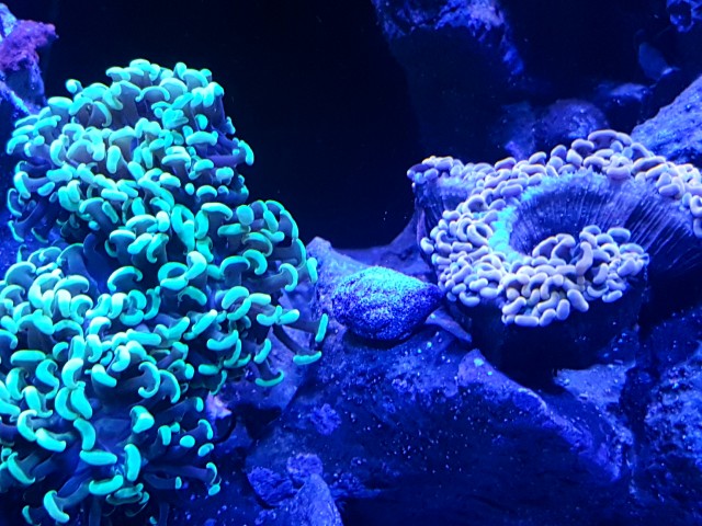 20180305_200726.jpg
