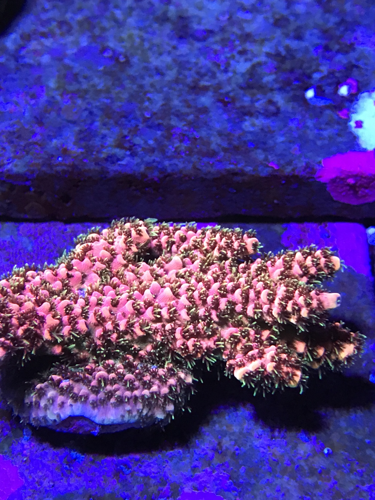 14fac4e652f8fed321fd9ff56ec079f6.heic
