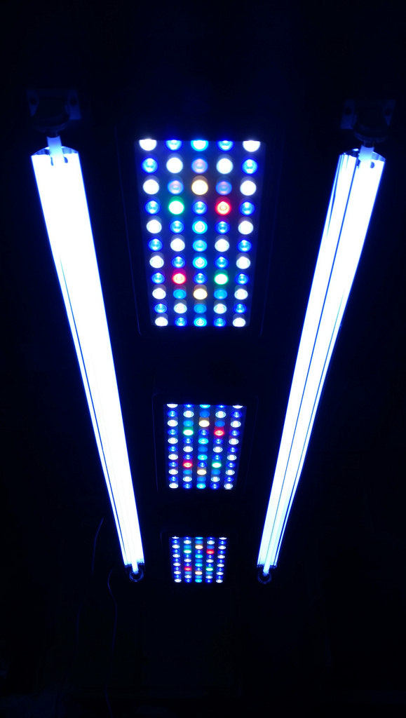 26572510008_4b697667de_b.jpg