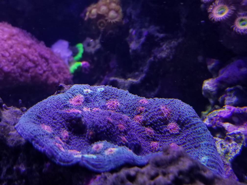 2e65bb04df820eaf42bf17a5f53ebc32.jpg
