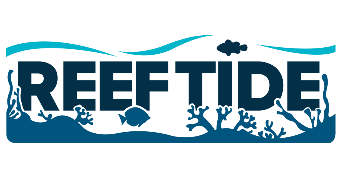 reeftide.com