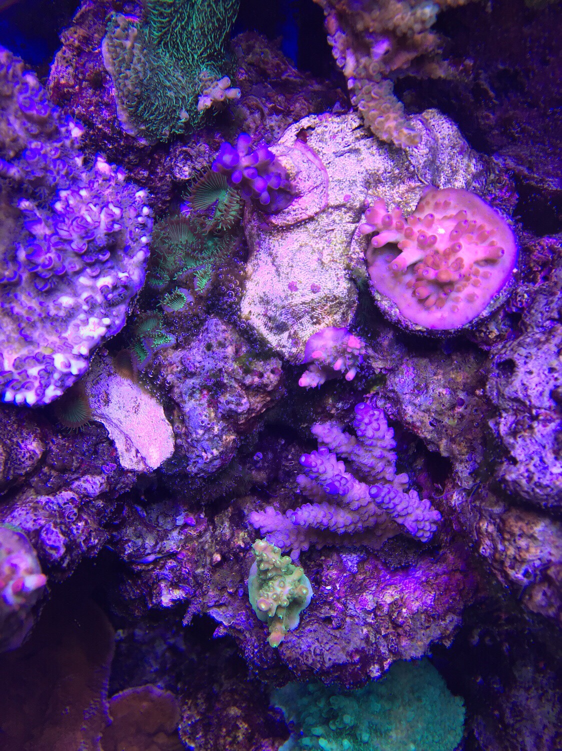 e539e5b29ec52bf9e506b999260f6b08.jpg
