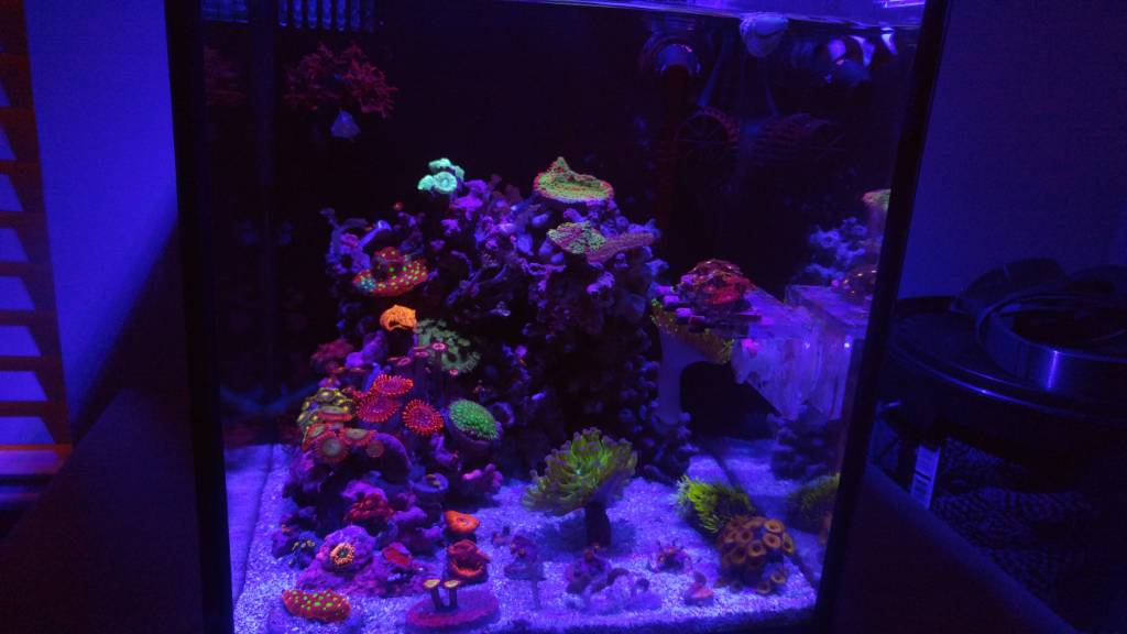 ccbb3f1555840fa917fd5358accb07bb.jpg