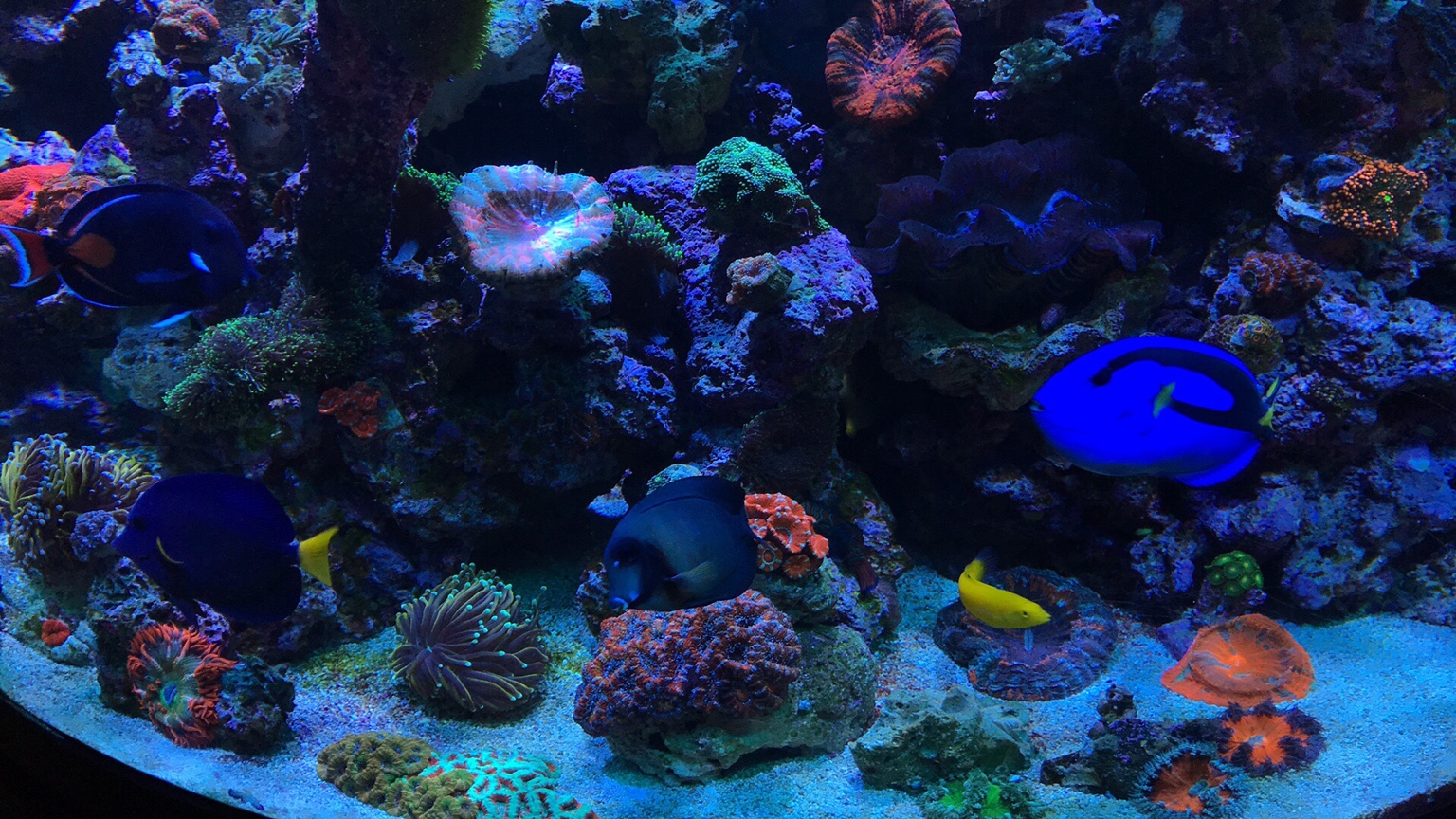 fc5d62de604cffeb2e63dd5655ef29f2.jpg