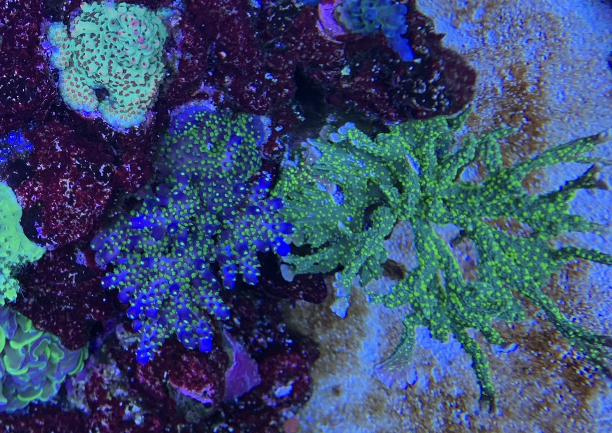 d1602af21aab4e41f97f877203cf0327.jpg