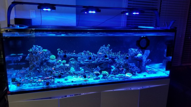 20170520_010447.jpg