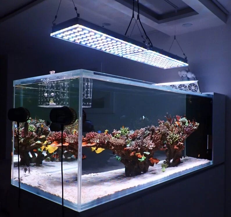 Orphek_atlantik_icon_best_reef_aquarium_led_lighting.jpg