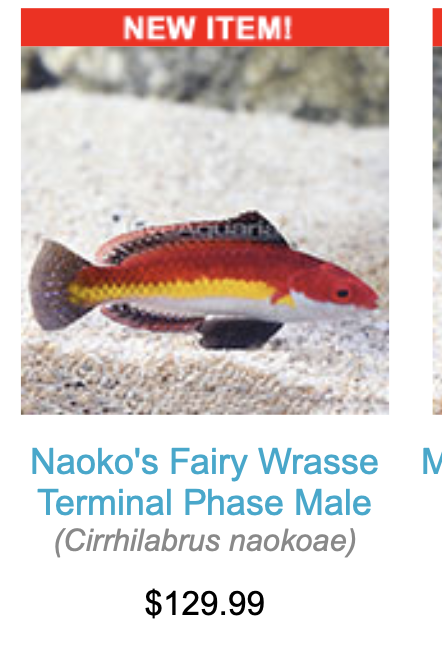 nHQPxIh.png