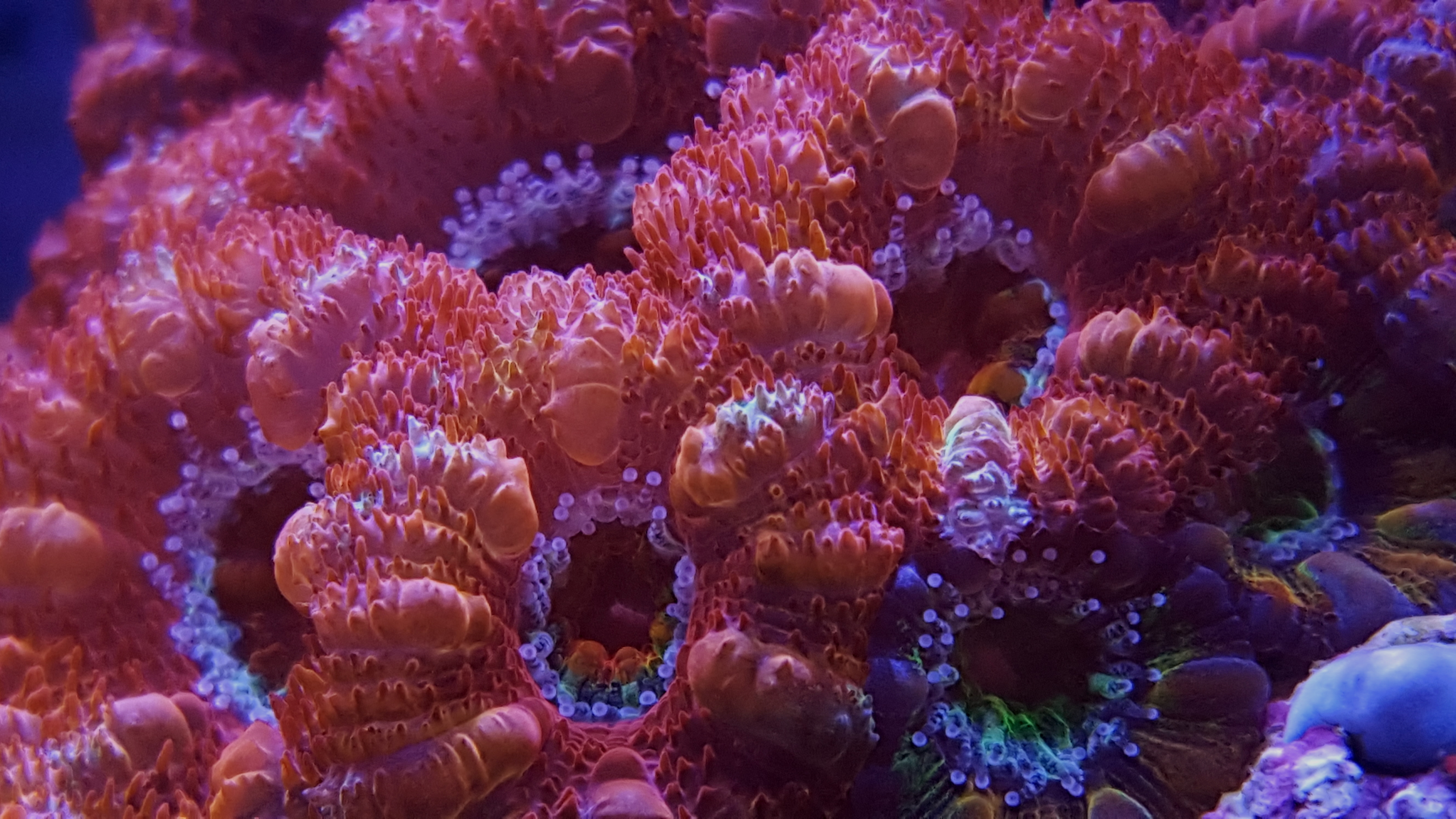 YNfqs9B.jpg
