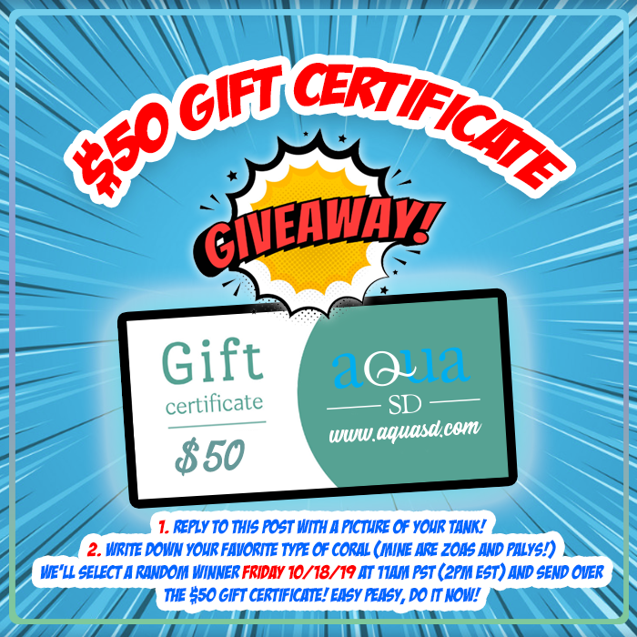 50Giveaway.png