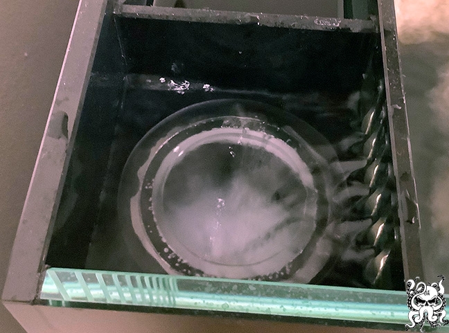 octo-cup-wb01.jpg