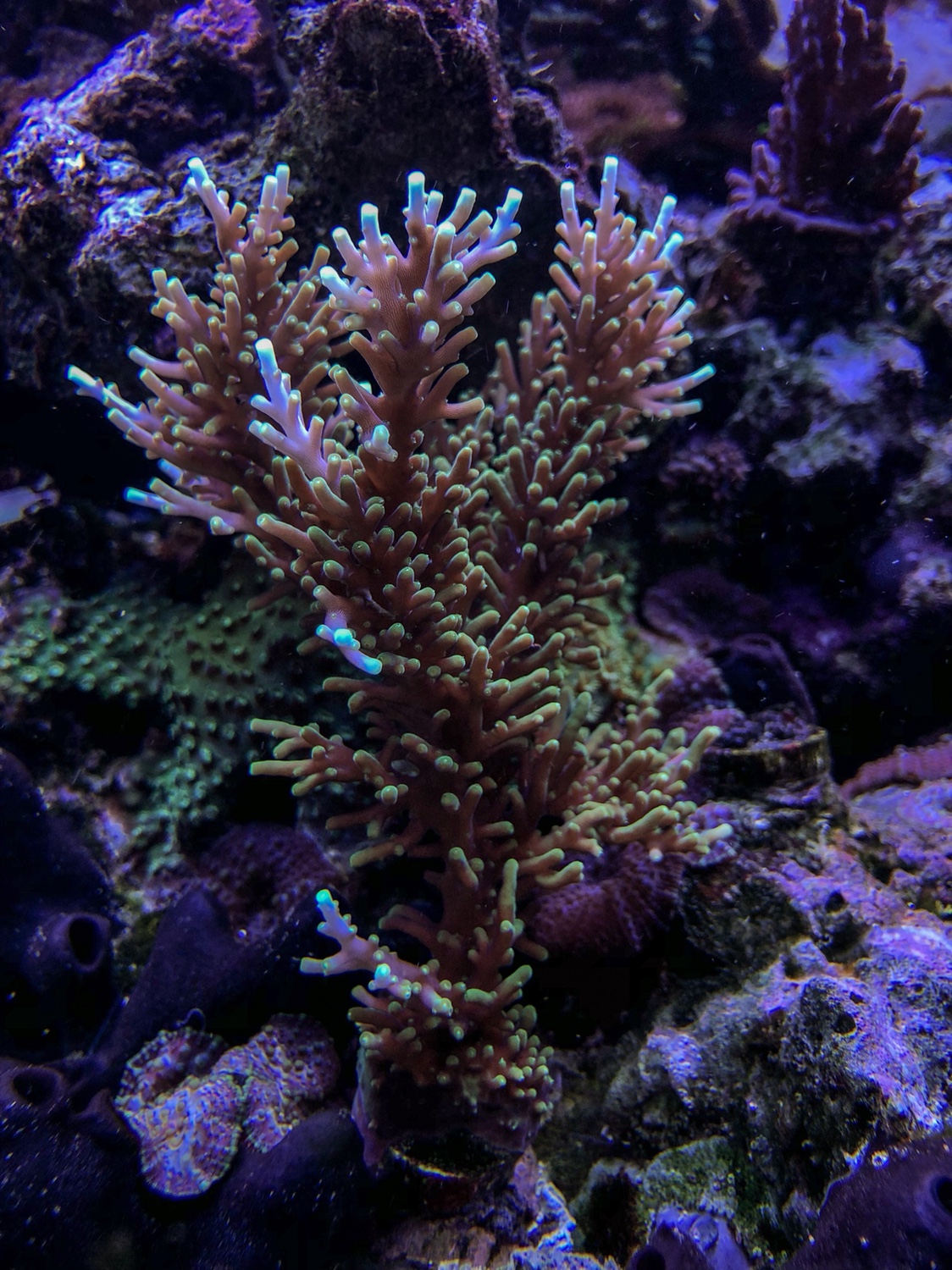 4245f7eb3d4b7db0229775ca6396bfd9.jpg