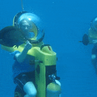 fish GIF