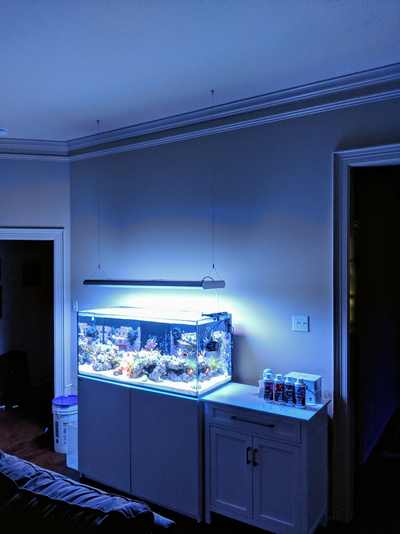 pictures of your ceiling hanging light fixtures | REEF2REEF and Aquarium