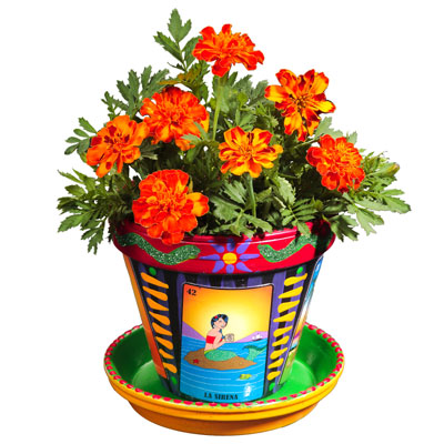 flowerpot.jpg