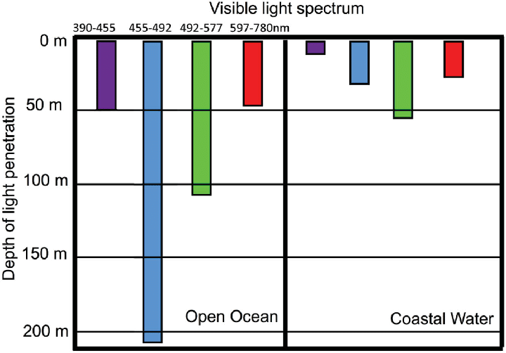 The-penetration-depth-of-the-visible-light-spectrum-in-clear-oceanic-waters-compared-with.ppm