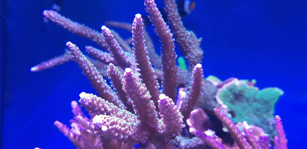 eccc24a3a708e045e37f4ffde3358bbb.jpg