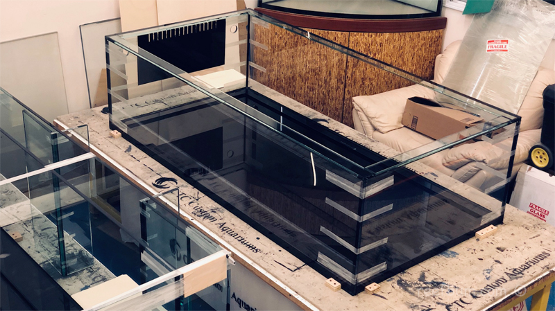Tank-At-Early-Stage-of-Build.jpg