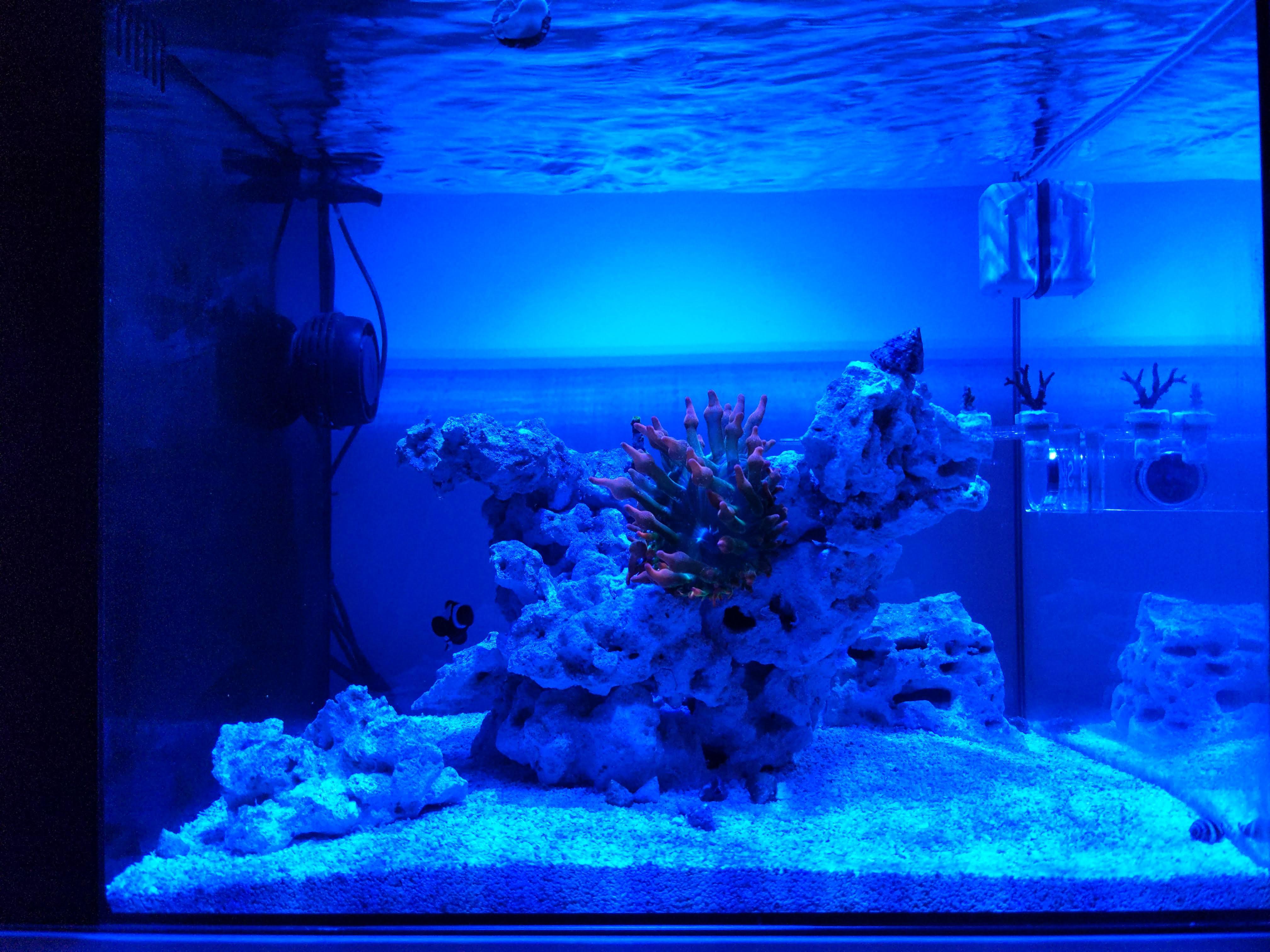 OhFX29G.jpg
