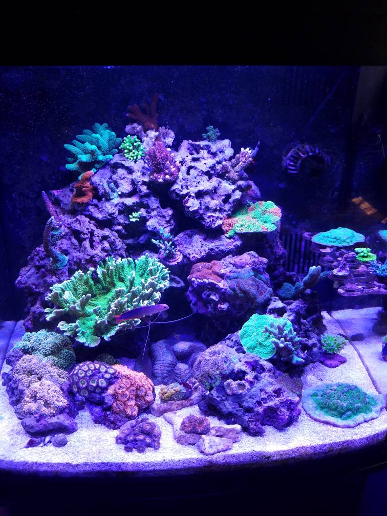 a4d6c18d0d0e997dcc0bf9bf5bbe3a3e.jpg