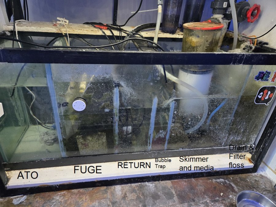 current sump.jpg
