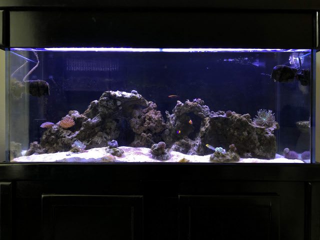 qpHMP63l.jpg
