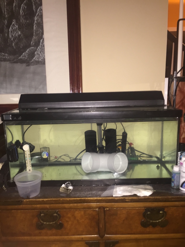 f593c5876f0c1938219df7d4776773a3.jpg