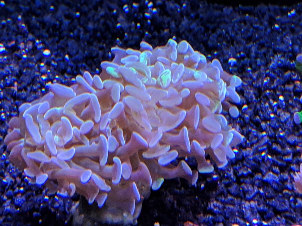 84f16e54df44deb93de05e341b8dc2c3.jpg