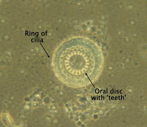MEDIUM_SIZE.jpeg