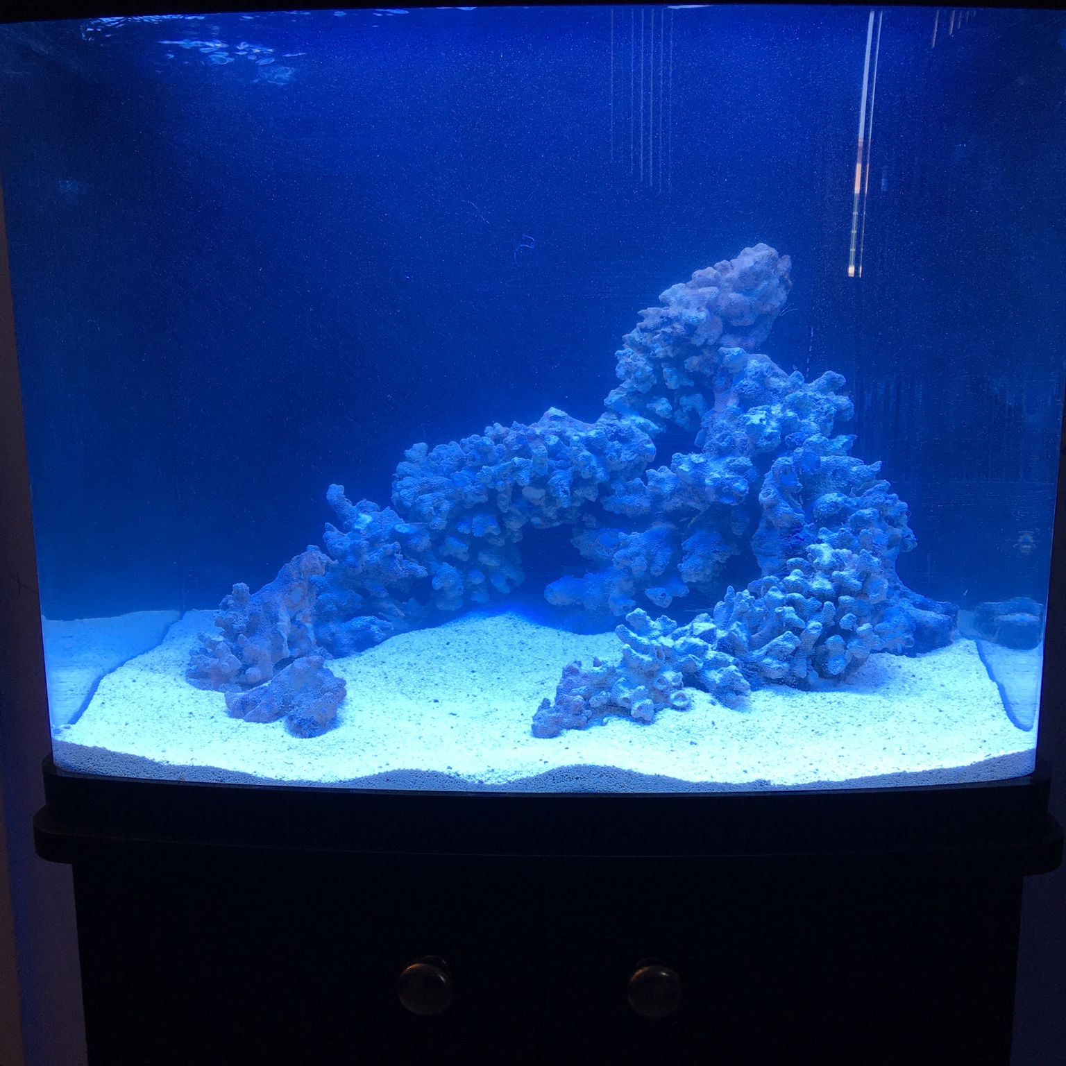 Nano Reef Tank Aquascape - Aquascape Ideas