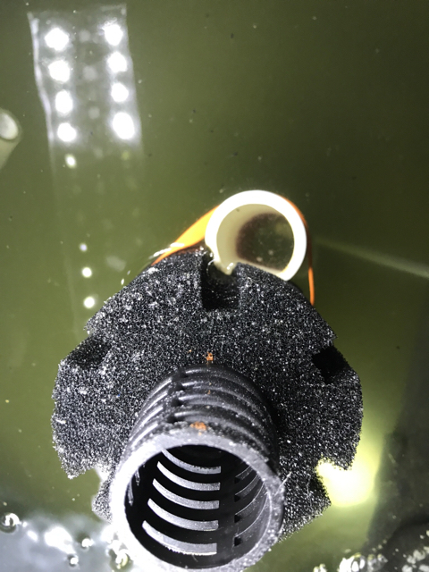 feaa2e387d219d64ec8a7c31decc2e0f.jpg
