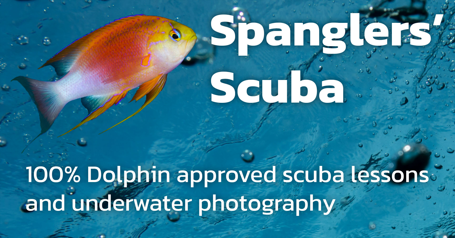scuba.spanglers.com