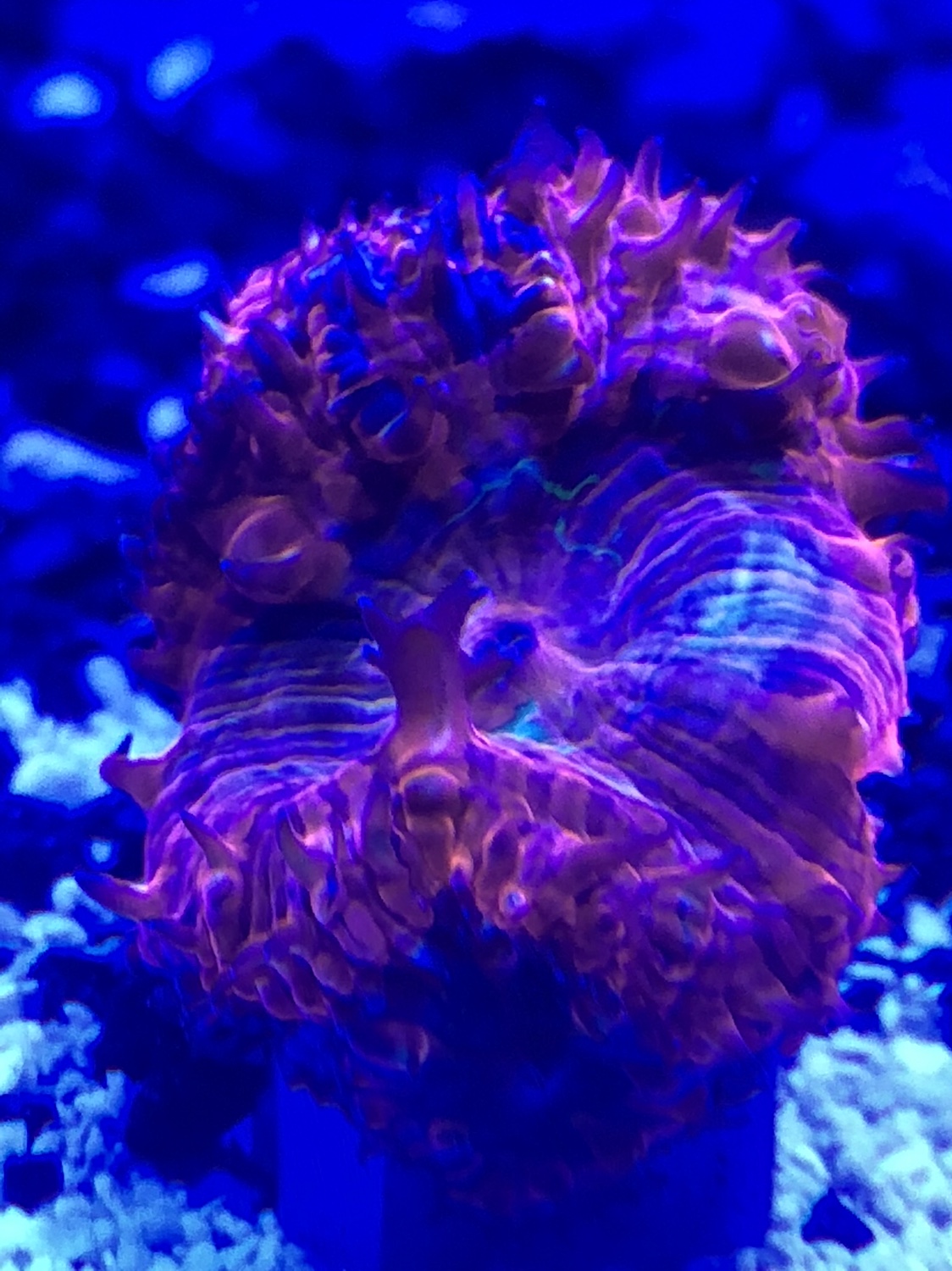 e9c2fb8e6418bd165cdab7e8a5331d7b.jpg