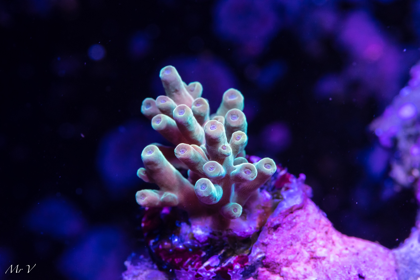 f8fd27bddae9d829da9c7a7ff1a67c74.jpg