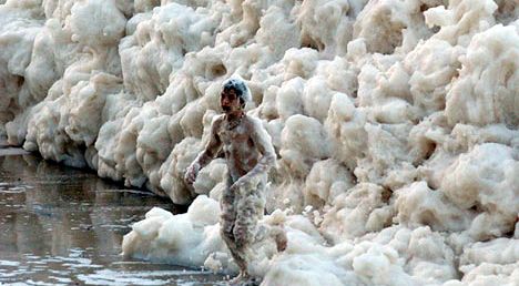 frothy.jpg